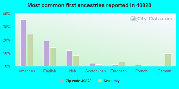 Most common first ancestries reported in 40828