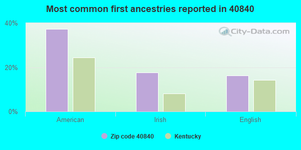 Most common first ancestries reported in 40840
