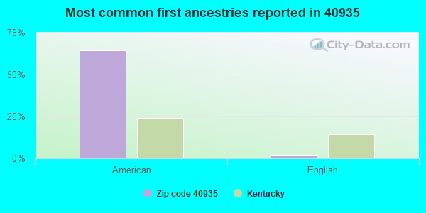 Most common first ancestries reported in 40935