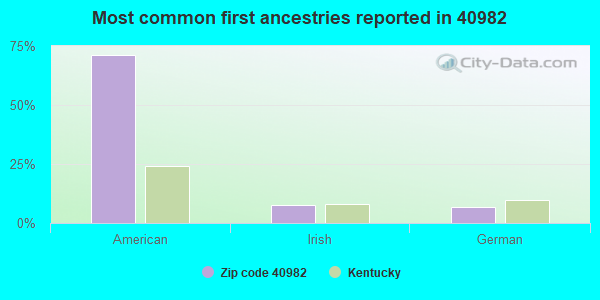 Most common first ancestries reported in 40982
