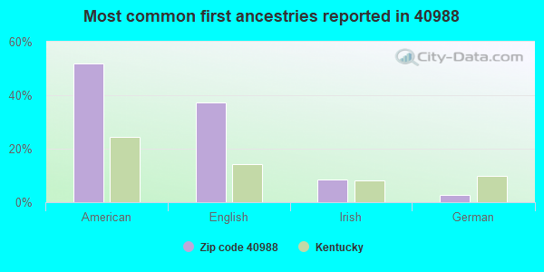 Most common first ancestries reported in 40988