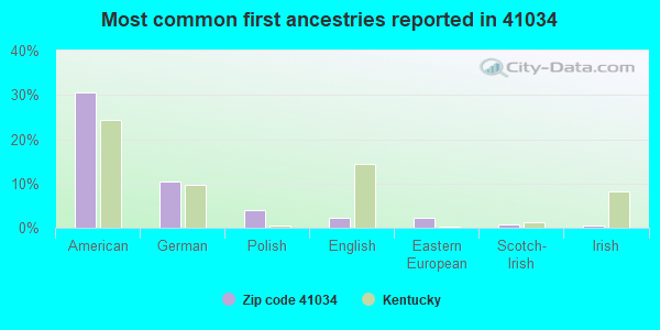 Most common first ancestries reported in 41034
