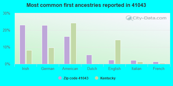 Most common first ancestries reported in 41043