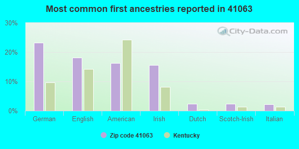 Most common first ancestries reported in 41063