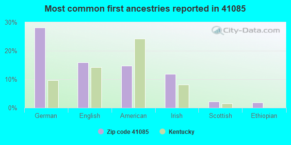 Most common first ancestries reported in 41085