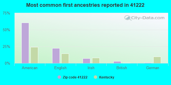 Most common first ancestries reported in 41222