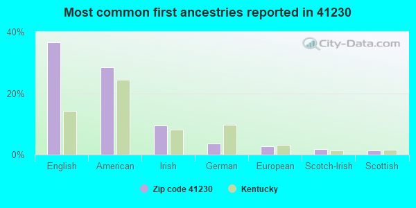 Most common first ancestries reported in 41230