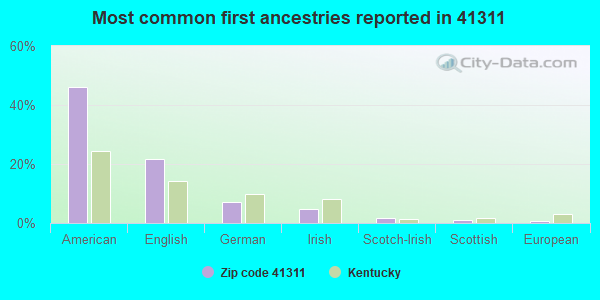 Most common first ancestries reported in 41311