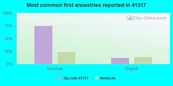 Most common first ancestries reported in 41317