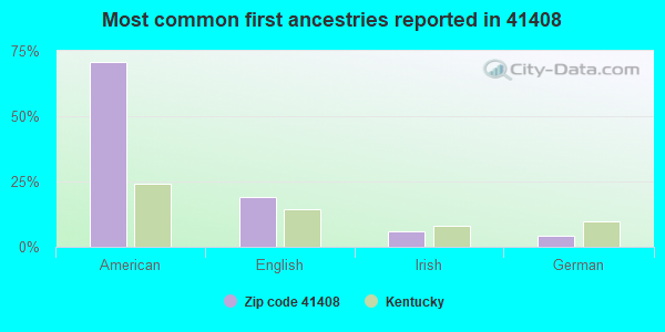 Most common first ancestries reported in 41408