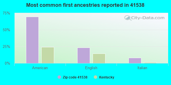 Most common first ancestries reported in 41538