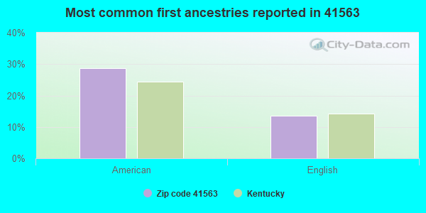 Most common first ancestries reported in 41563