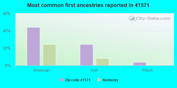 Most common first ancestries reported in 41571