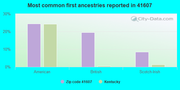 Most common first ancestries reported in 41607