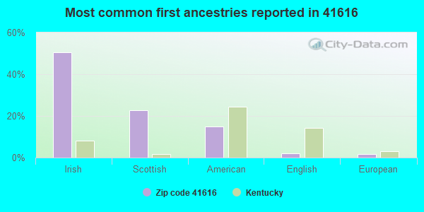 Most common first ancestries reported in 41616