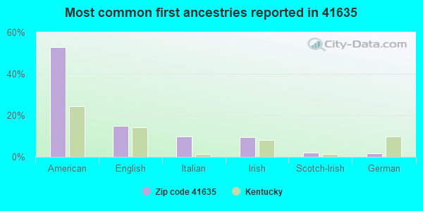 Most common first ancestries reported in 41635