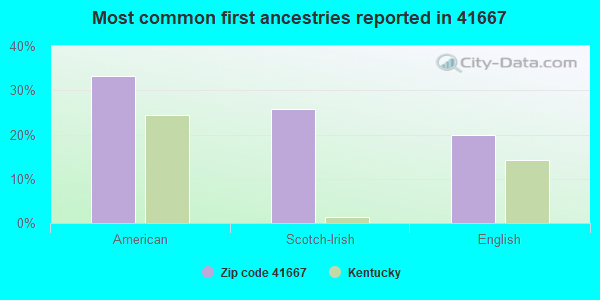 Most common first ancestries reported in 41667