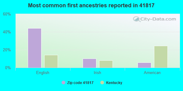Most common first ancestries reported in 41817