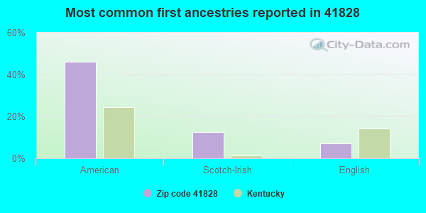 Most common first ancestries reported in 41828