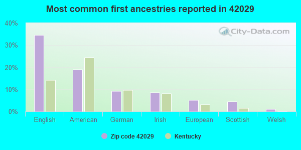Most common first ancestries reported in 42029