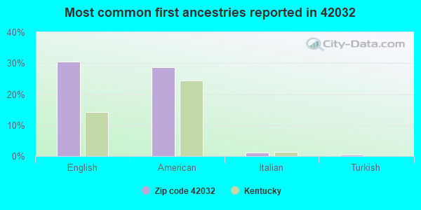 Most common first ancestries reported in 42032