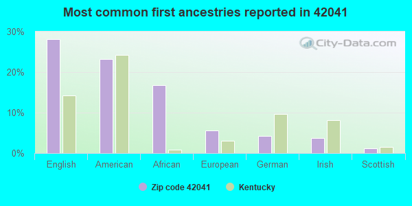 Most common first ancestries reported in 42041