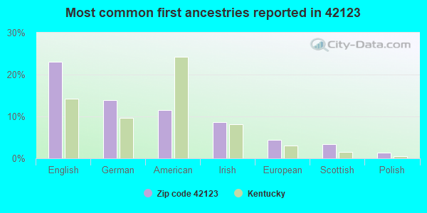 Most common first ancestries reported in 42123