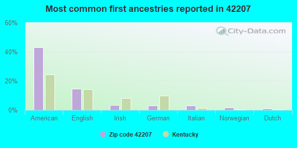 Most common first ancestries reported in 42207