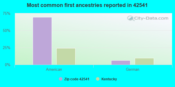Most common first ancestries reported in 42541