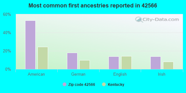 Most common first ancestries reported in 42566