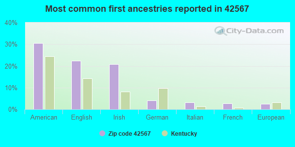 Most common first ancestries reported in 42567