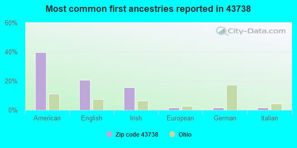 Most common first ancestries reported in 43738