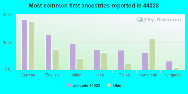 Most common first ancestries reported in 44023