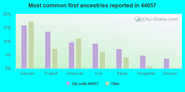 Most common first ancestries reported in 44057