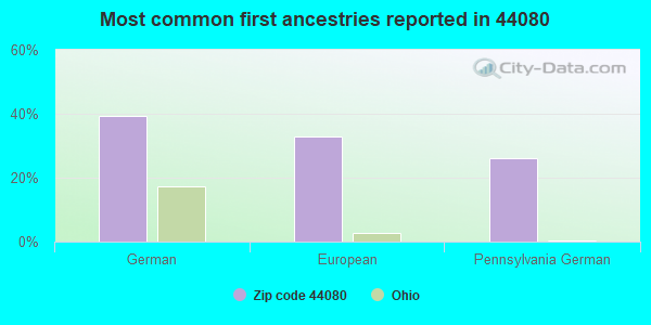 Most common first ancestries reported in 44080