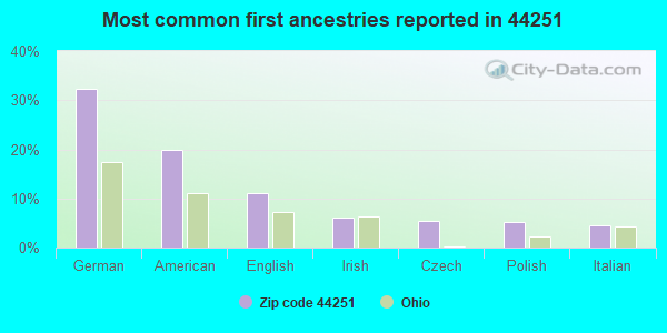 Most common first ancestries reported in 44251