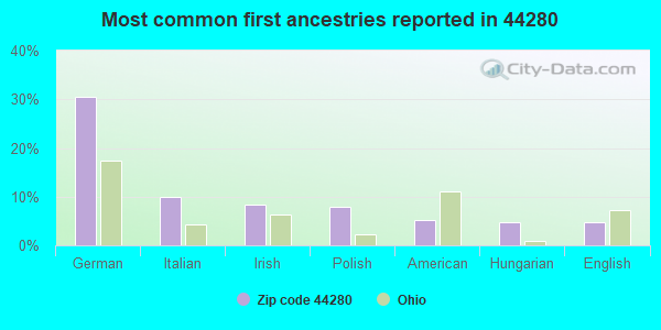 Most common first ancestries reported in 44280