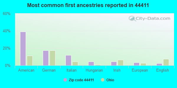 Most common first ancestries reported in 44411