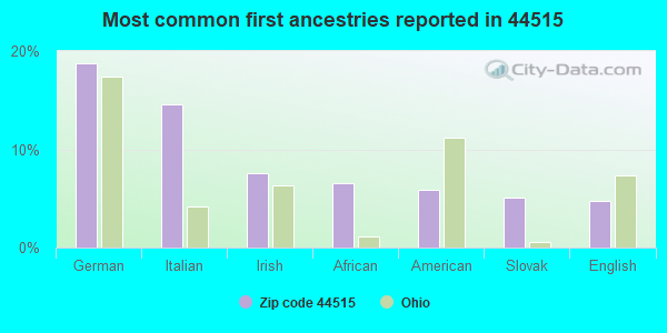 Most common first ancestries reported in 44515