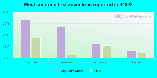 Most common first ancestries reported in 44828
