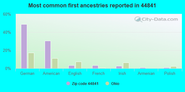 Most common first ancestries reported in 44841