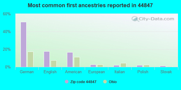 Most common first ancestries reported in 44847