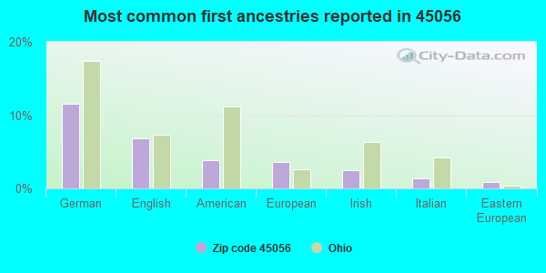 Most common first ancestries reported in 45056