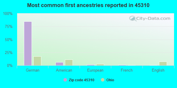 Most common first ancestries reported in 45310