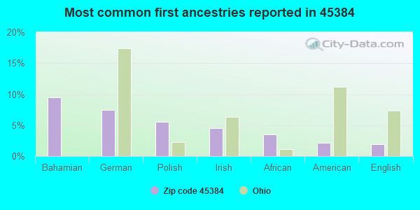 Most common first ancestries reported in 45384