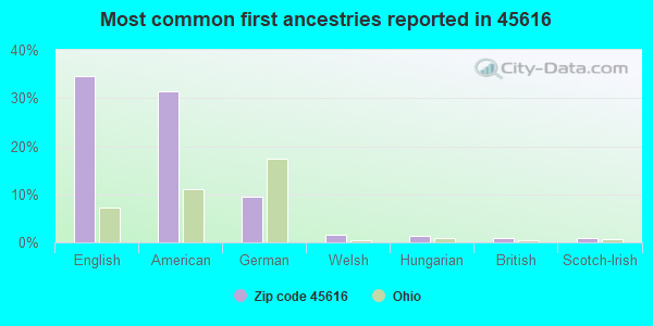 Most common first ancestries reported in 45616