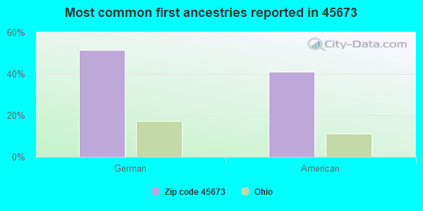 Most common first ancestries reported in 45673