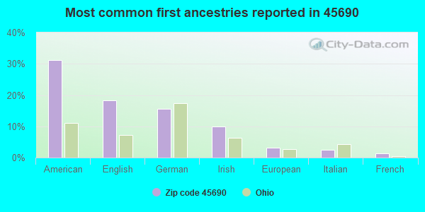 Most common first ancestries reported in 45690
