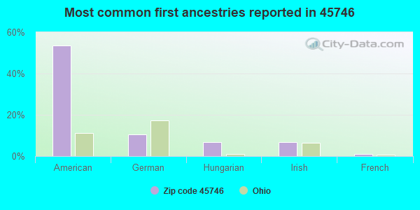 Most common first ancestries reported in 45746
