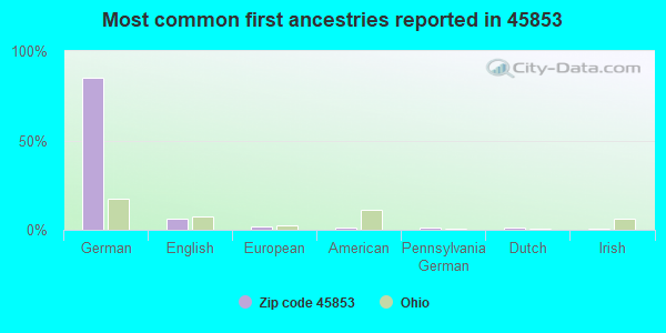 Most common first ancestries reported in 45853